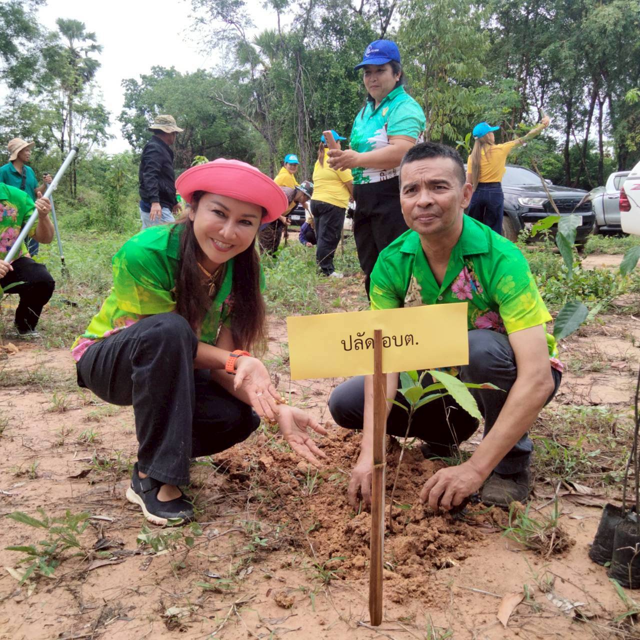 LINE ALBUM กจกรรมปลกปา วนท 29569 260529 7 0